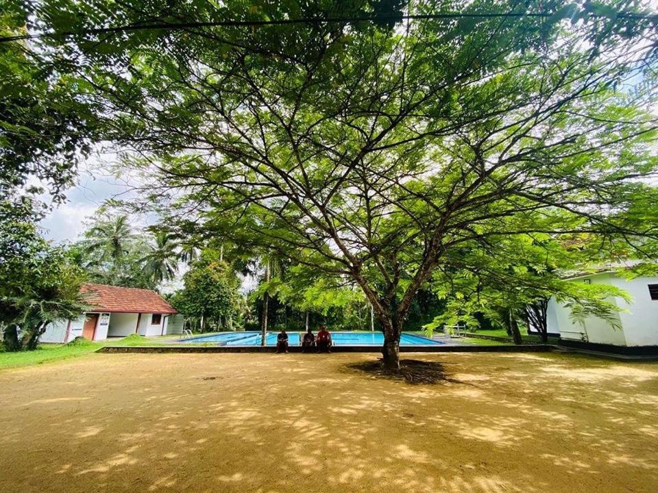 Randiyaepiliyagoda Resort Avissawella Exterior foto